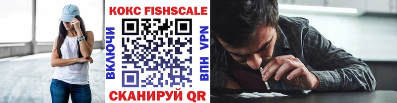 Кокаин FishScale  кракен маркетплейс  Николаевск  купить закладку 