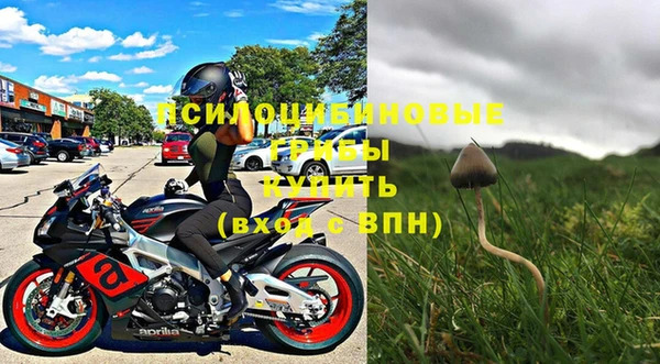 дурь Алексин