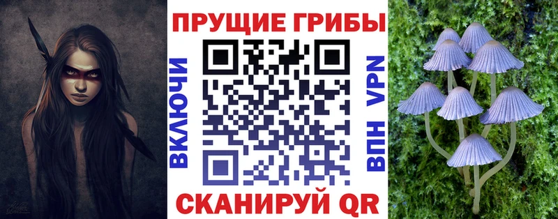 Галлюциногенные грибы Psilocybe  Николаевск 